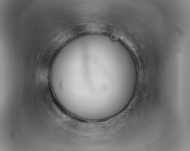 X0000111490009200907141248