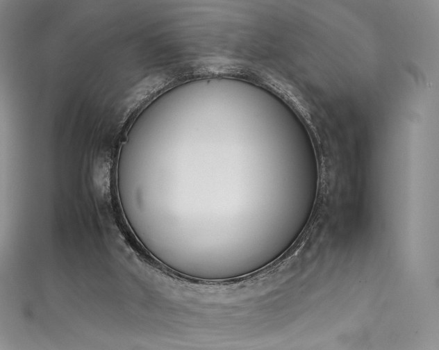 X0000111490010200907141248