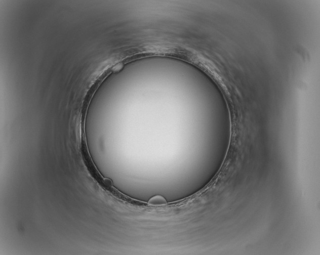 X0000111490011200907141248