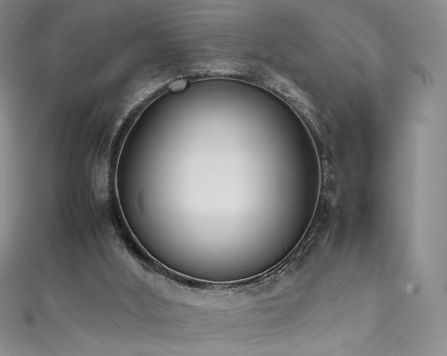 X0000111490012200907141248