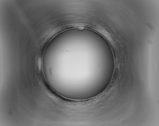 X0000111490013200907141248