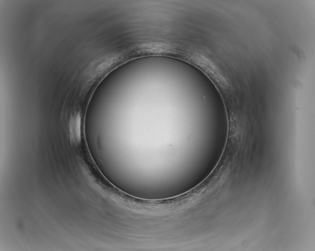 X0000111490014200907141248