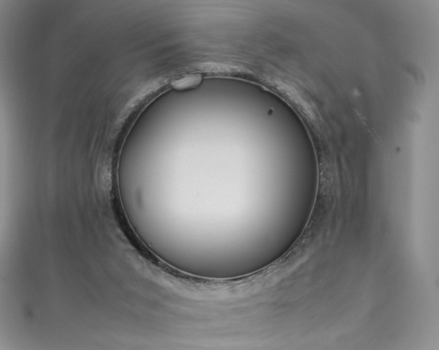 X0000111490015200907141248