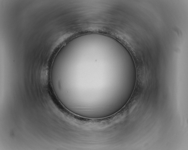 X0000111490016200907141248