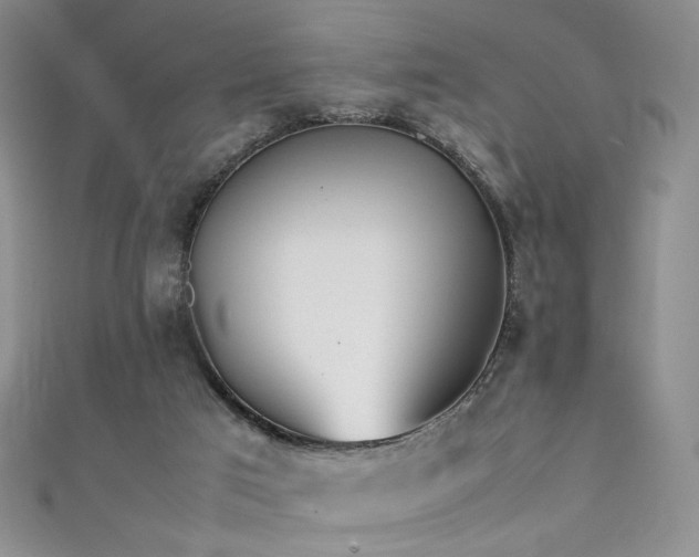 X0000111490017200907141248