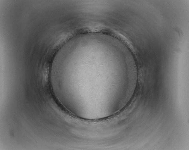 X0000111490018200907141248