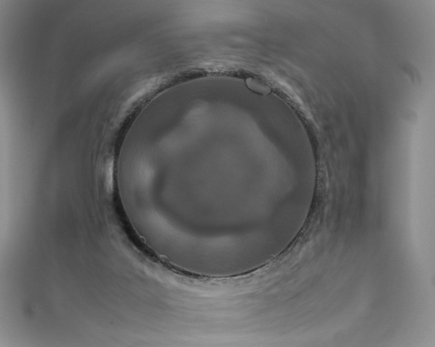 X0000111490019200907141248