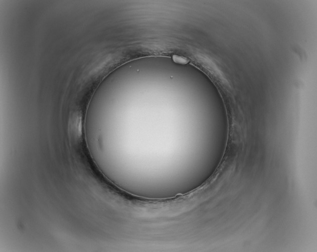 X0000111490021200907141248