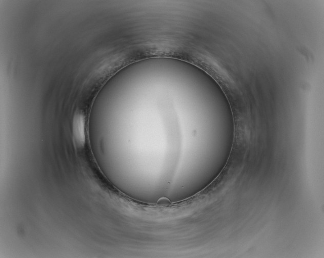 X0000111490022200907141248