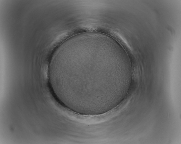 X0000111490023200907141248