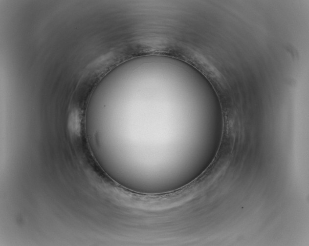 X0000111490026200907141248