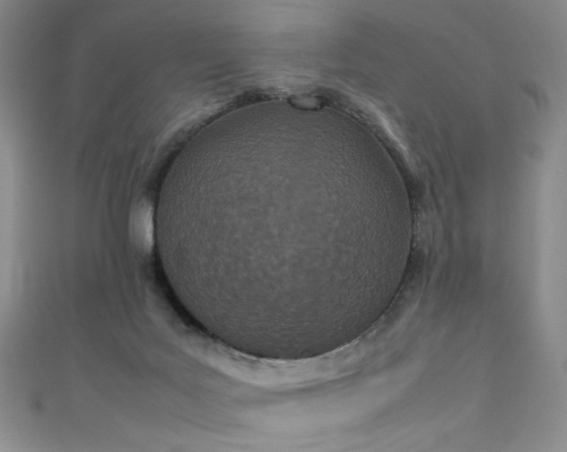 X0000111490027200907141248