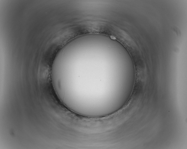 X0000111490029200907141248