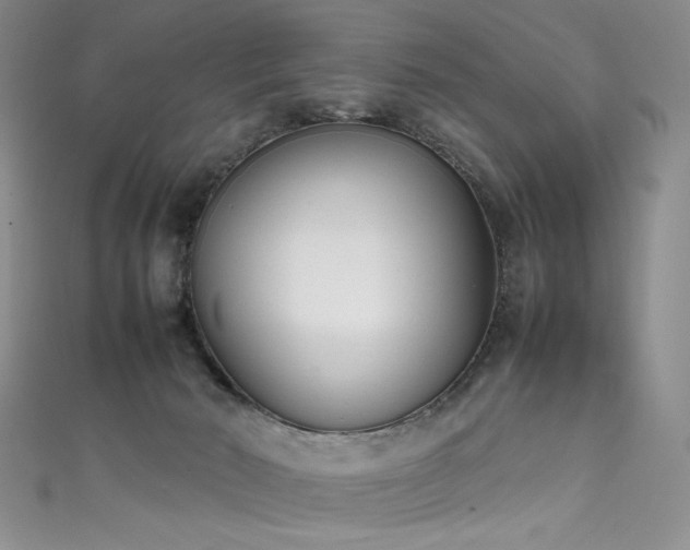 X0000111490030200907141248