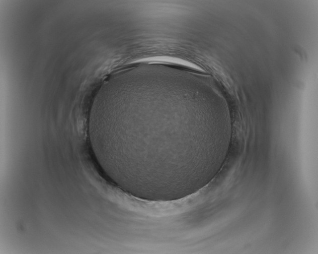 X0000111490031200907141248