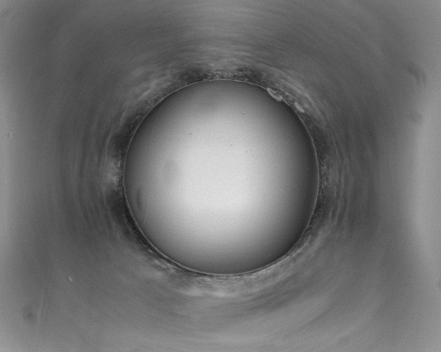 X0000111490033200907141248