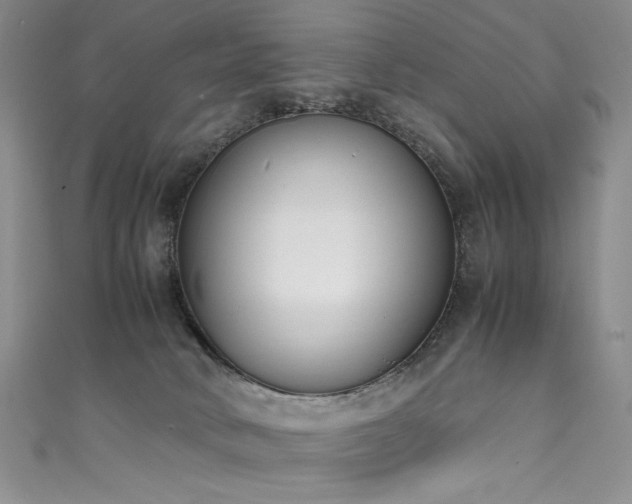 X0000111490034200907141248