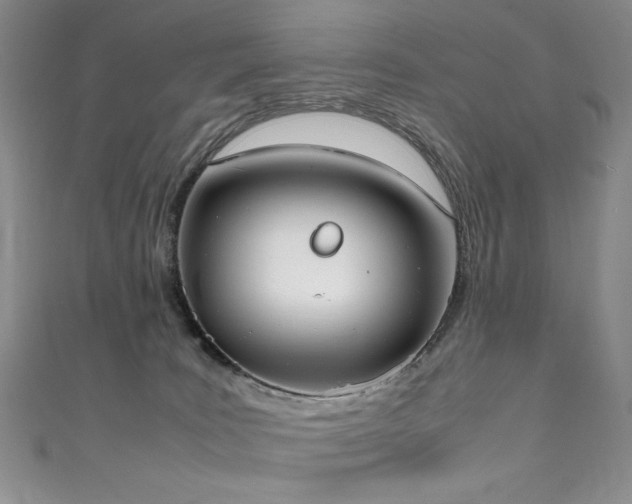 X0000111490035200907141248