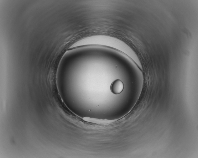 X0000111490036200907141248