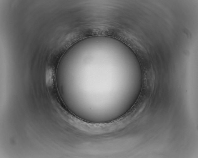 X0000111490038200907141248