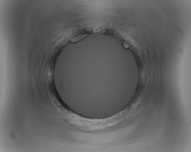 X0000111490039200907141247