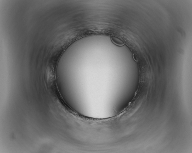 X0000111490040200907141247