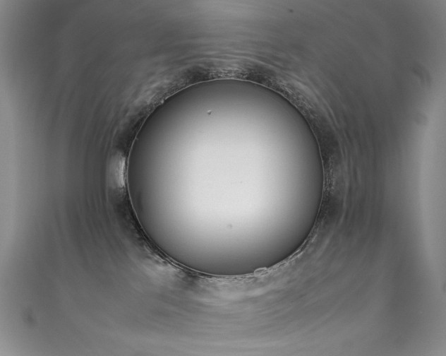 X0000111490041200907141247