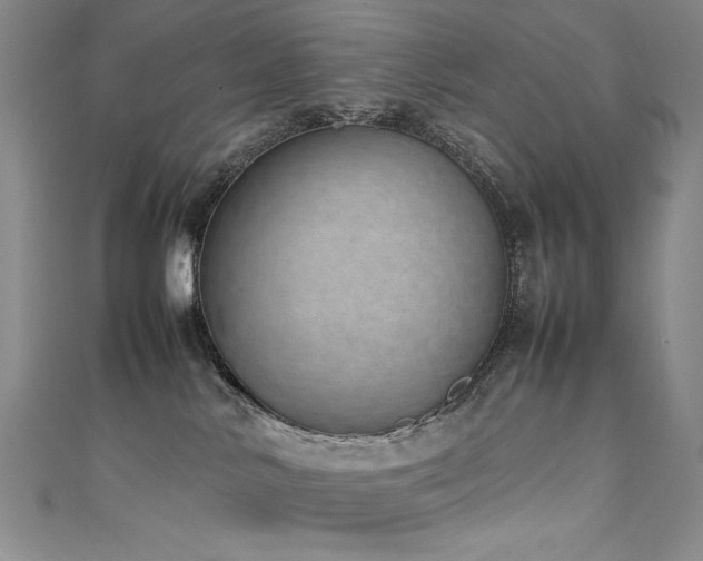 X0000111490042200907141247