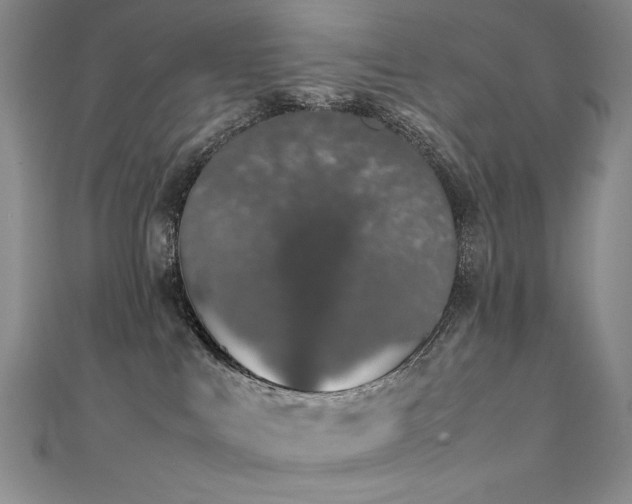 X0000111490043200907141247