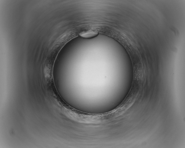 X0000111490044200907141247