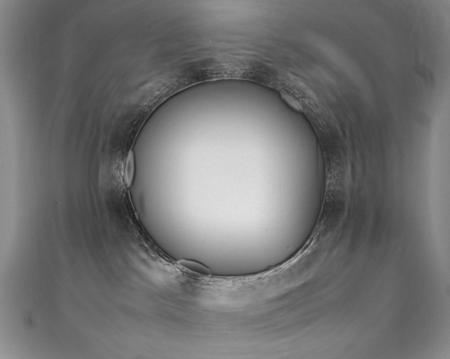 X0000111490045200907141247