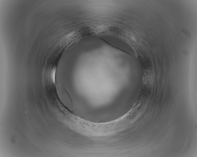 X0000111490047200907141247