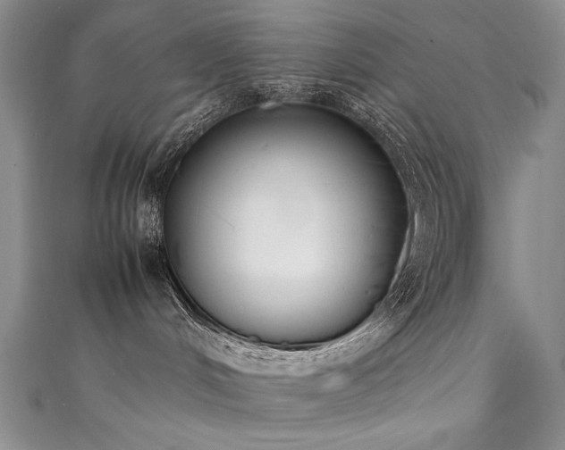 X0000111490048200907141247