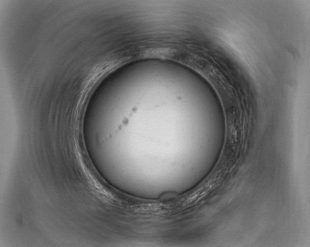 X0000111490049200907141247