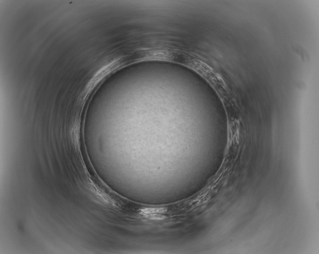 X0000111490051200907141247