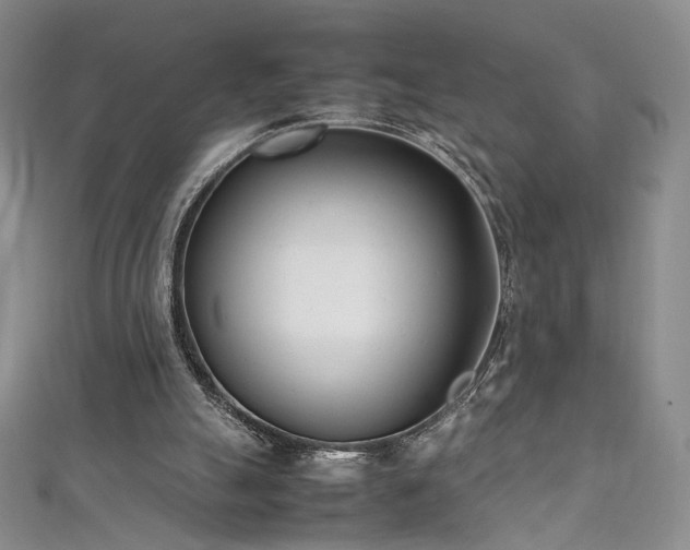 X0000111490055200907141247