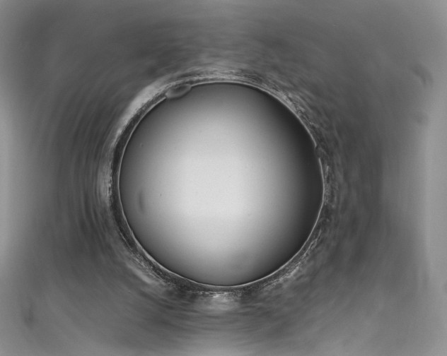 X0000111490056200907141247