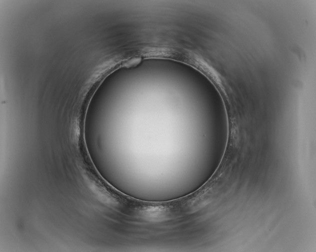 X0000111490059200907141247