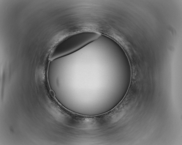 X0000111490060200907141247