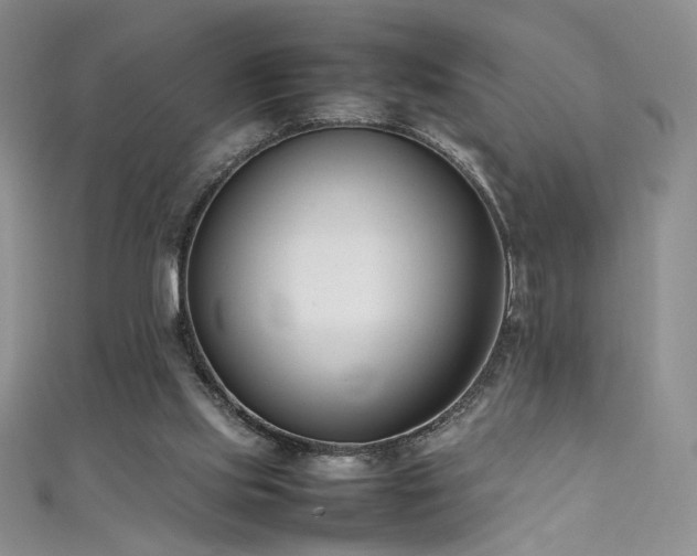 X0000111490061200907141247