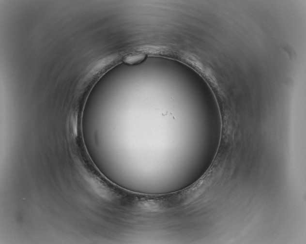 X0000111490062200907141247