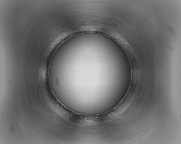 X0000111490064200907141247