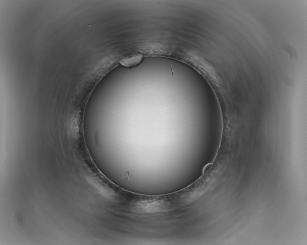 X0000111490065200907141247