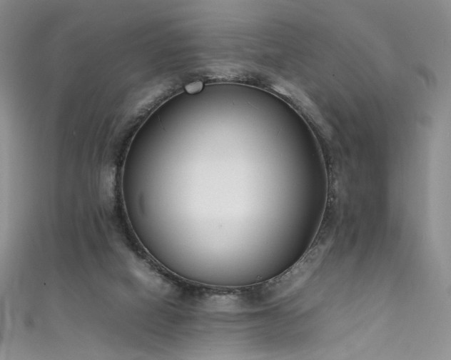 X0000111490066200907141247