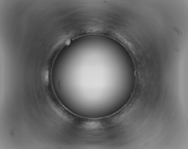 X0000111490067200907141247