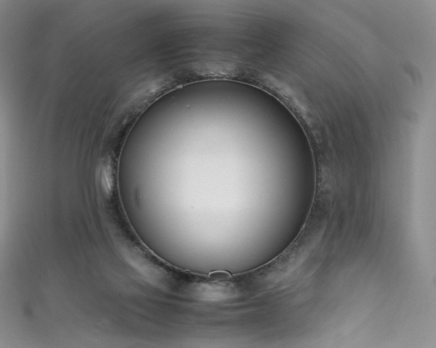 X0000111490069200907141247