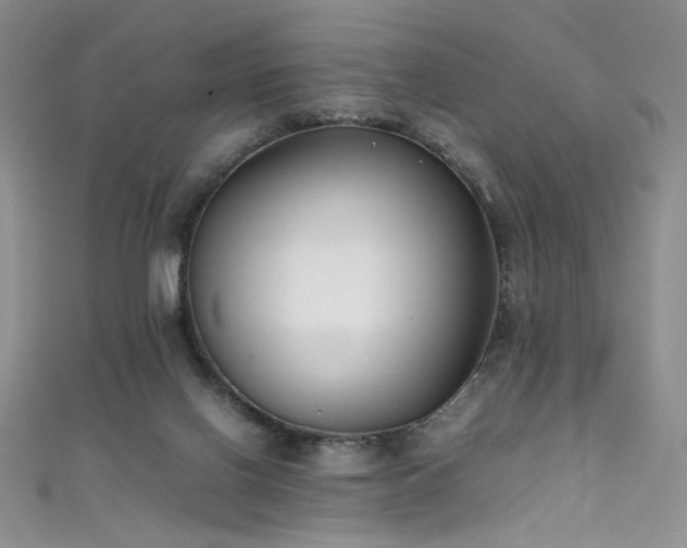 X0000111490070200907141247