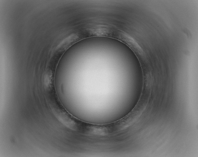 X0000111490073200907141247