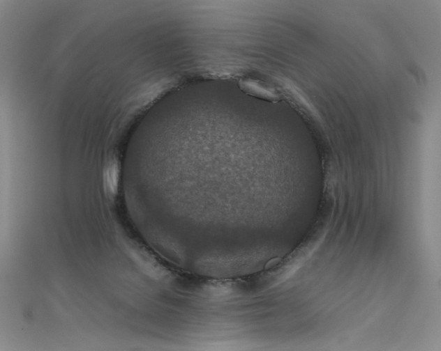 X0000111490076200907141247