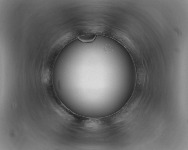 X0000111490077200907141247